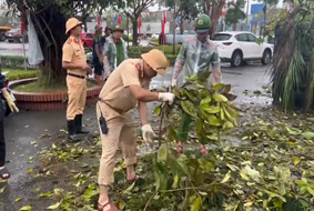 Công an quận Hồng Bàng tiếp tục bố trí lực lượng  khắc phục hậu quả bão số 3 khu vực Đền Liệt sỹ quận Hồng Bàng